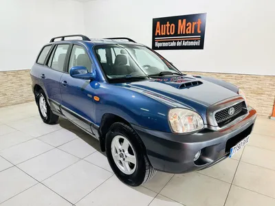 Hyundai Santa Fe 2001 года выпуска, по цене 290 000 руб.