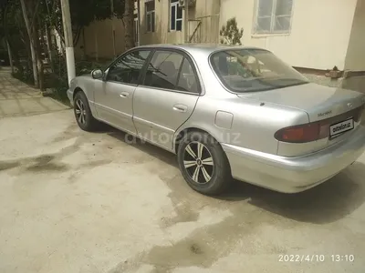 Hyundai Sonata 1995 купить: Хендай Соната 1995 цена в Узбекистане -  Avtoelon.uz