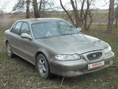 Купить Hyundai Sonata 1998 года в Карагандинской области, цена 1990000  тенге. Продажа Hyundai Sonata в Карагандинской области - Aster.kz. №c874913