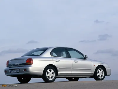 1998 Hyundai Sonata Original Car Product Media News Guide Brochure like |  eBay