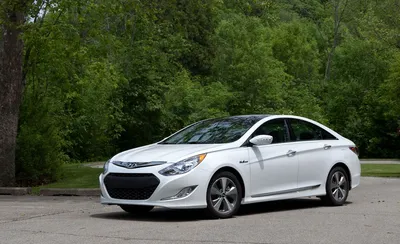 2011 Hyundai Sonata Research, photos, specs, and expertise | CarMax