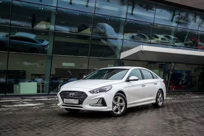 Смелый дизайн и заводское ГБО: новый Hyundai Sonata 2023 рассекретили до  премьеры (фото)