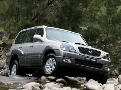 Мой таракан - Отзыв владельца автомобиля Hyundai Terracan 2001 года ( I ):  2.5d AT (101 л.с.) 4WD | Авто.ру