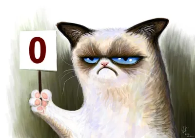 NEWSru.com :: Знаменитый Сердитый кот первым из мемов выиграл суд о  нарушении авторских прав