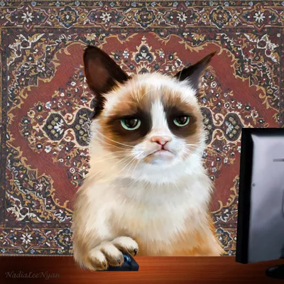 Сердитый кот :: Владимир Переклицкий – Социальная сеть ФотоКто