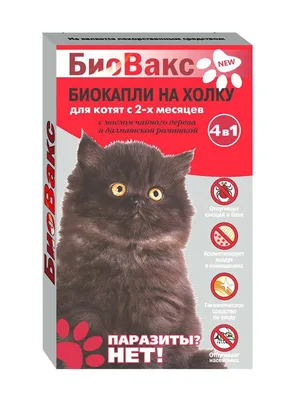 Капли для кошек и собак Relaxivet Spot-on успокоительные на холку, купить в  интернет-магазине Филя с быстрой доставкой в Санкт-Петербурге