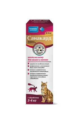 Монобелковый сухой корм \"Холка\" для стерилизованных кошек с говядиной и  рисом - купить с доставкой по выгодным ценам в интернет-магазине OZON  (1096127799)