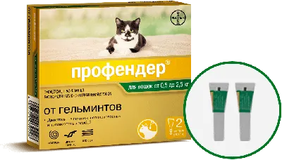 Капли для кошек Inspector Quadro на холку 4-8кг 3пипетки купить по цене  1307 ₽ с доставкой в Москве и России, отзывы, фото