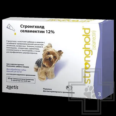 Полнорационный гипоаллергенный сухой корм \"Холка\" для щенков собак средних  и крупных пород 1,5кг. - купить по выгодной цене | TuriStore.ru - Все для  туризма и активного отдыха