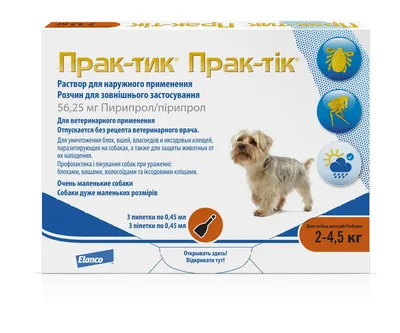 Купить Стронгхолд Капли на холку для собак 12 % (цена за 1 пипетку) -  доставка, цена и наличие в интернет-магазине и аптеках Доктор Вет