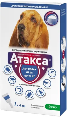 Капли на холку Адвантикс® от клещей, блох и комаров для собак более 25 кг в  Санкт-Петербурге
