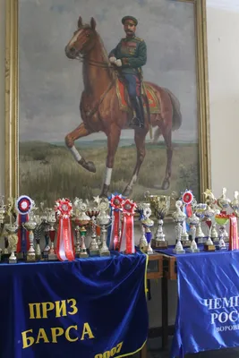 Хреновской конезавод признали лучшим коннозаводчиком лошадей орловской  рысистой породы