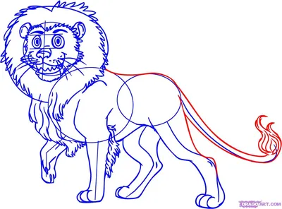 Хвост льва рисунок - 54 фото