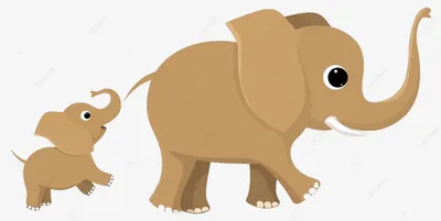 GISMETEO: Шерсть из хвоста слона может рассказать почти все о «биографии»  животного - Животные | Новости погоды.