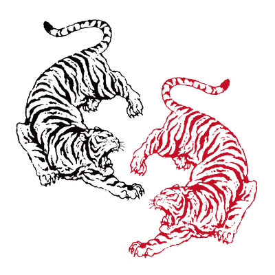 Хвост Тигра Рантхамбхор Раджастхан Индия — стоковые фотографии и другие  картинки Biggest - Biggest, Бенгальский тигр, Большая кошка - iStock