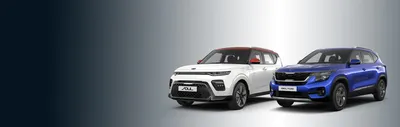 Kia: Официальный дилер в Ноябрьске – Купить новый автомобиль Киа в  автосалоне ЯМАЛ МОТОРС
