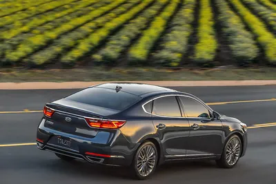 Kia Cadenza in Durham, NC | University Kia of Durham