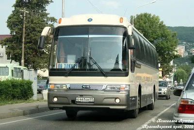 Аренда автобуса Екатеринбург, заказ автобуса, прокат автобуса на свадьбу в  Екатеринбурге, пассажирские перевозки | Авеню96.ру