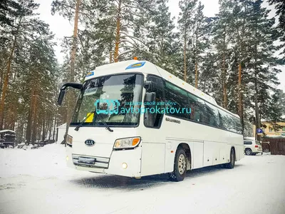Адыгея, Kia Granbird Super Premium № Е 441 ОН 01 — Фото — Автобусный  транспорт