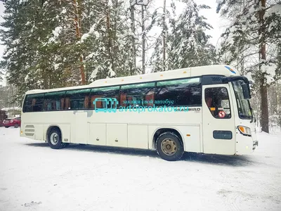 Киа Гранберд — стоковые фотографии и другие картинки Автобус - Автобус,  Башня, Без людей - iStock