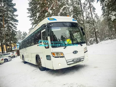 Купить Kia Granbird Междугородный автобус 2011 года в Москве: цена 2 800  000 руб., дизель, механика - Автобусы