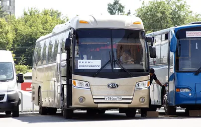 Новосибирская область, Kia Granbird SD I № Н 537 СН 54 — Фото — Автобусный  транспорт