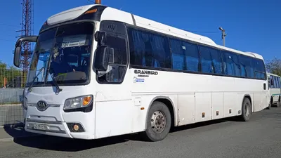 New 2021 KIA Granbird SilkRoad – новый комфортабельный автобус Kia Motors -  YouTube