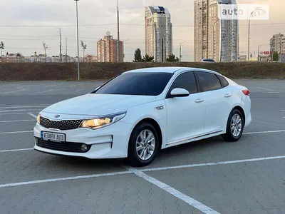 Тест-драйв обновленного Kia Quoris V8 5,0: полукровка, но не самозванец -  КОЛЕСА.ру – автомобильный журнал