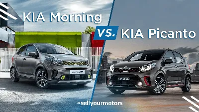 Купить Kia Morning 2021 года в Шымкенте, цена 6990000 тенге. Продажа Kia  Morning в Шымкенте - Aster.kz. №275714