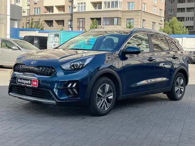 Kia Niro 2016-2019 Dimensions Rear View