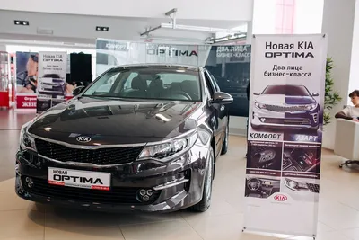 Аренда Киа Оптима (Kia Optima) в Москве без водителя недого