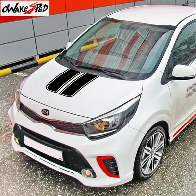 Kia Picanto new car review, UK price, picture gallery | The Week