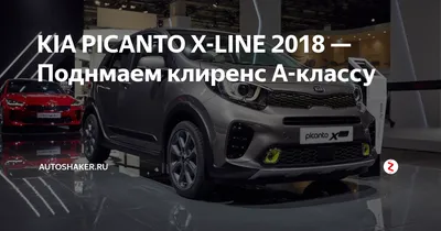 В Kia обновили свой самый компактный автомобиль :: Autonews