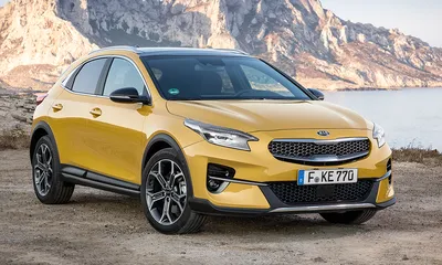 Обновленный KIA Rio начнут продавать с 1 апреля - KP.RU