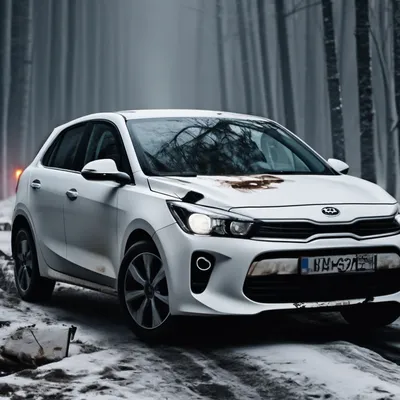 Установка спойлера EVO на белый Kia Rio 3