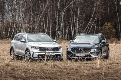 В России подешевели Hyundai Santa Fe, Skoda Karoq, Kia Sportage и многие  другие модели. Скидки достигают