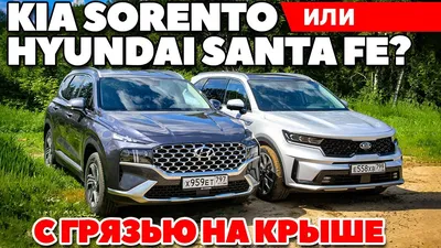 В большой семье: Kia Sorento против Hyundai Santa Fe и Skoda Kodiaq -  читайте в разделе Тесты в Журнале Авто.ру