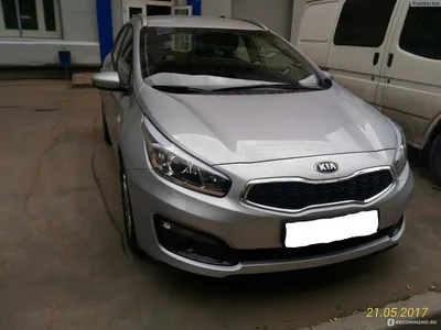 New Kia Ceed at Speedwell Kia