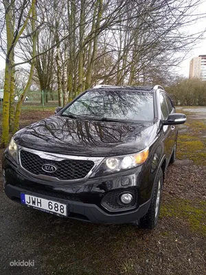 Kia Sorento 2011 год, 3.5 литра, Приветствие, бензин, автоматическая  коробка, кузов SUV (Кроссовер+Джип), расход 15.0, 4вд, 280 л.с.