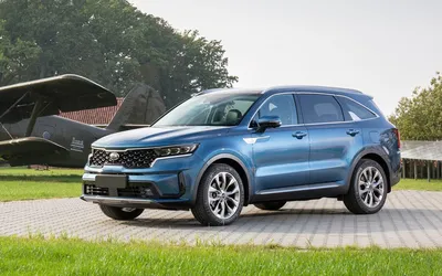 Просто красивые фото на природе — KIA Sorento (4G), 2,5 л, 2021 года |  фотография | DRIVE2