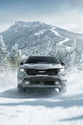 Experience the Elegance of the Kia Sorento