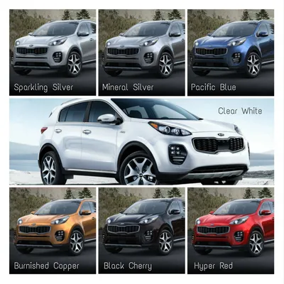 Which Color Options Are Available For The 2018 Kia Sportage?