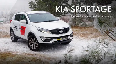 Kia Sportage 2.0 AT (150 л.с.), 2018, IV поколение, Серый (продано) – заказ  №134552
