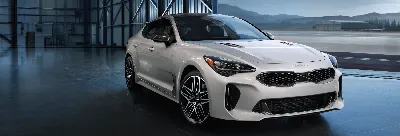 2019 Kia Stinger with 19x8.5 30 ESR Sr07 and 255/35R19 Continental  Extremecontact Sport and Stock | Custom Offsets