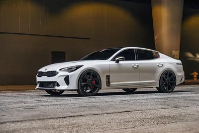 Kia Canada on X: \"The stunning 2022 Kia Stinger GT captured by IG user  @carlegion1. 📸 Is Snow White Pearl your color of choice for the enhanced  Stinger? Comment below ⬇️ https://t.co/GX8JXeVvXc\" /