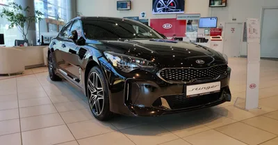 The electronic templates shop for making pre cut for protection the body  and interior by paint protection film of Kia Stinger