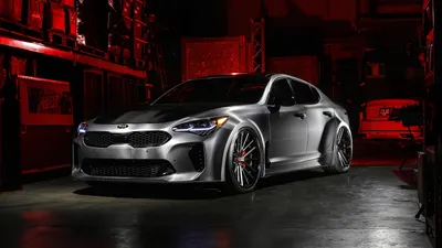 Внесистемный элемент. Тест-драйв обновленного Kia Stinger :: Autonews