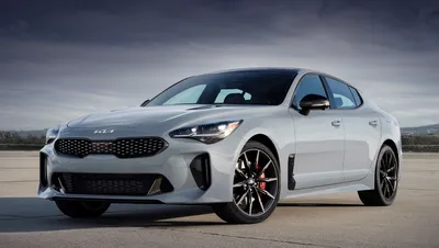 Американський Kia Stinger потемнів в спецверсії Scorpion | BOSS AUTO