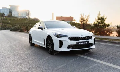 Картинки по запросу вид машины сзади киа | Kia stinger, Kia, Good looking  cars