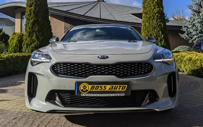 Kia stinger крышка зад цена и фото | ExportParts